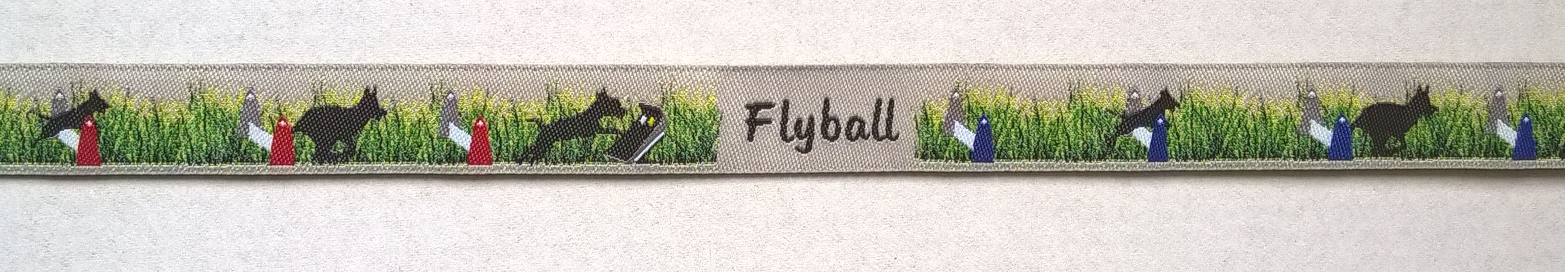 Flyballwebband